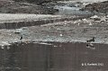 14 Jan 146-GWTE-GADW